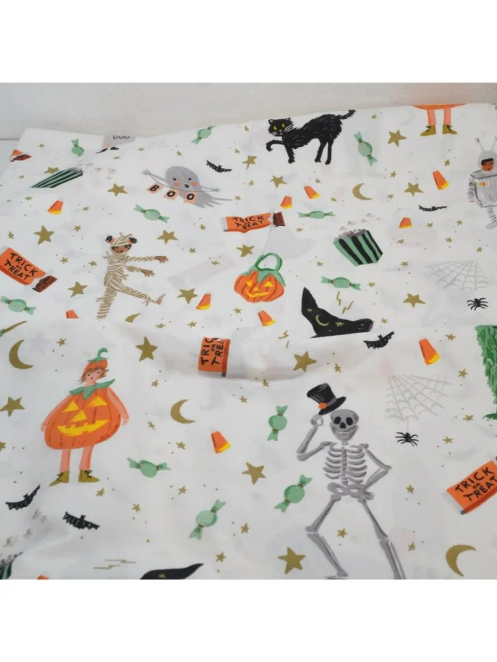 Pottery Barn Teen Rifle Paper Co XL Twin Glow in the Dark Halloween Sheet Set